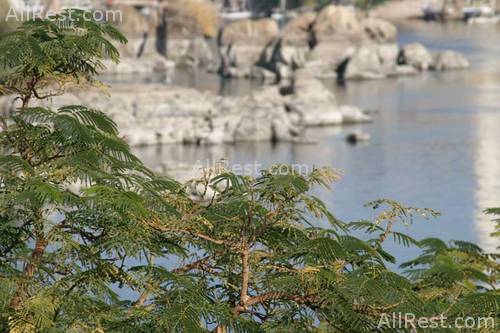 Pyramisa Isis Island Resort & SPA 15